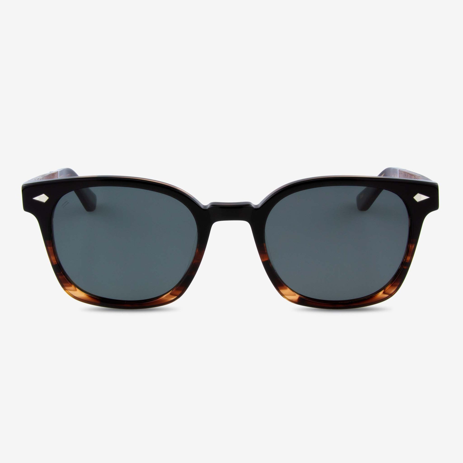 Williston acetate and wood sunglasses front view black tortoise frame flat lay