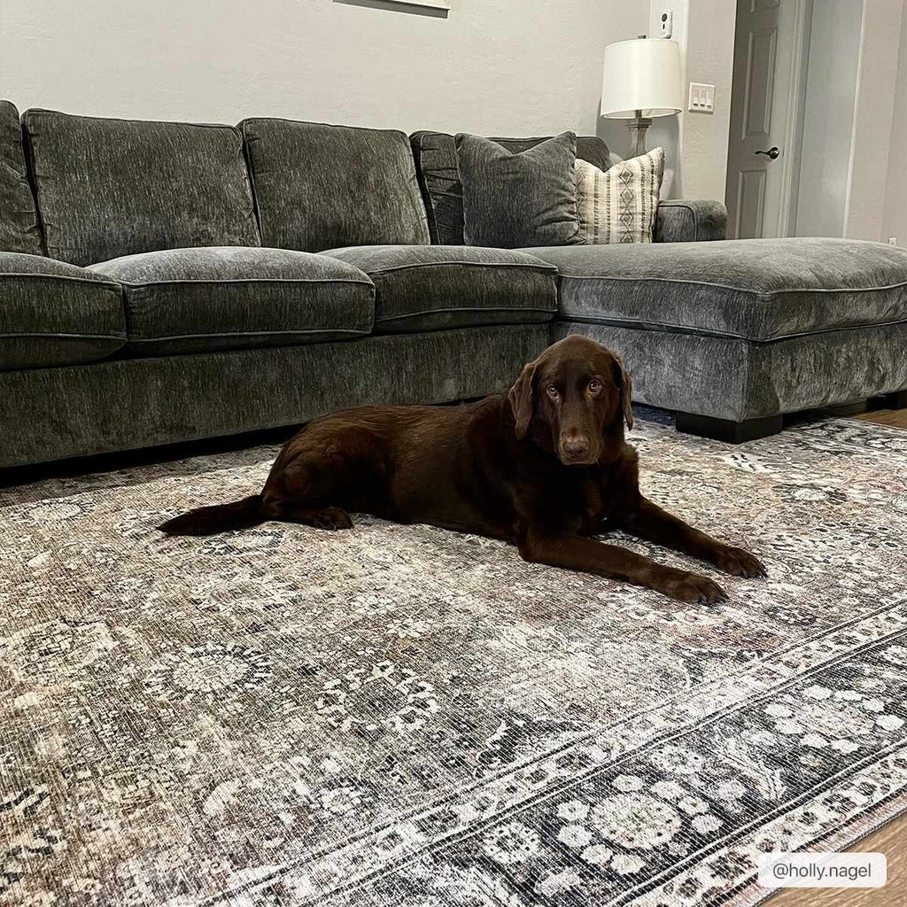 Large Ganyangan washable rug under sofa in living room with pet lifestyle shot
