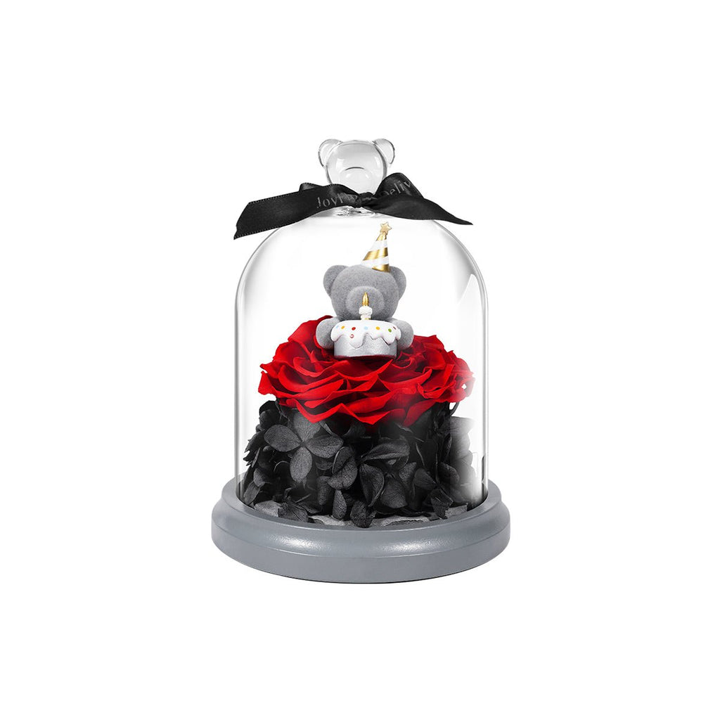 Best birthday surprise teddy bear gift front view in presentation case

