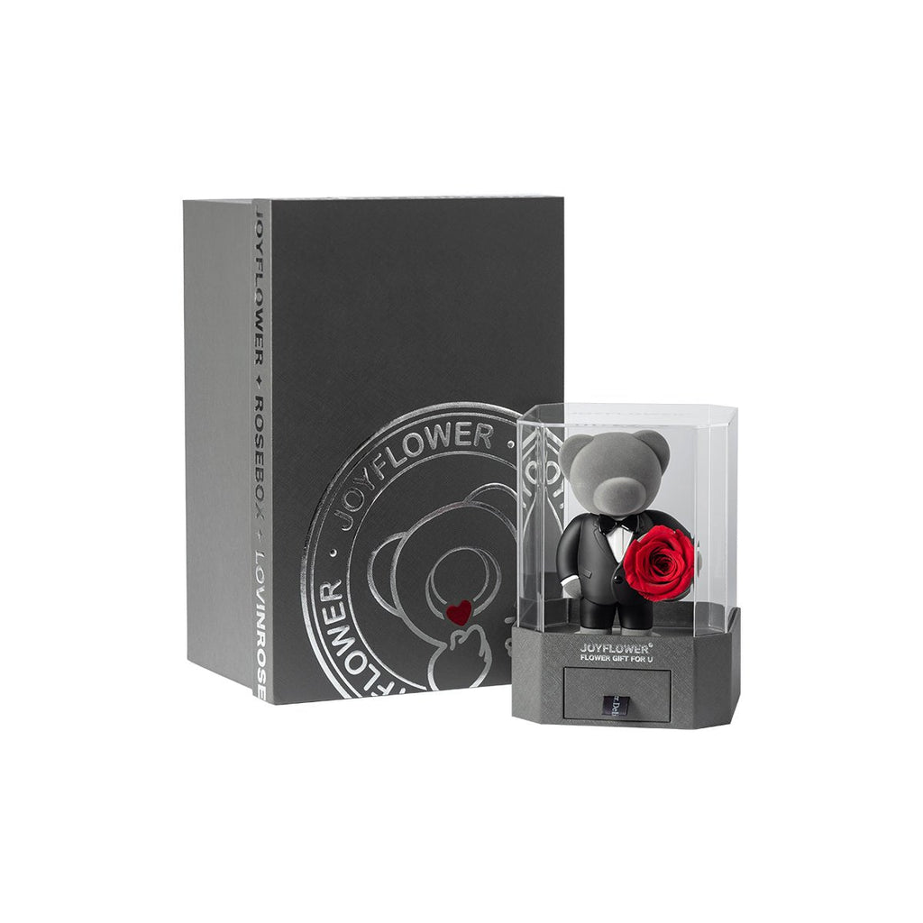 Enchanting timeless romance teddy bear in case with gift box packaging
